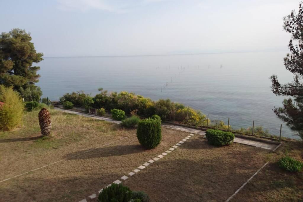 Sunshine House Offering Spectacular Views To Olymp A Apartment Nea Iraklia Exterior photo