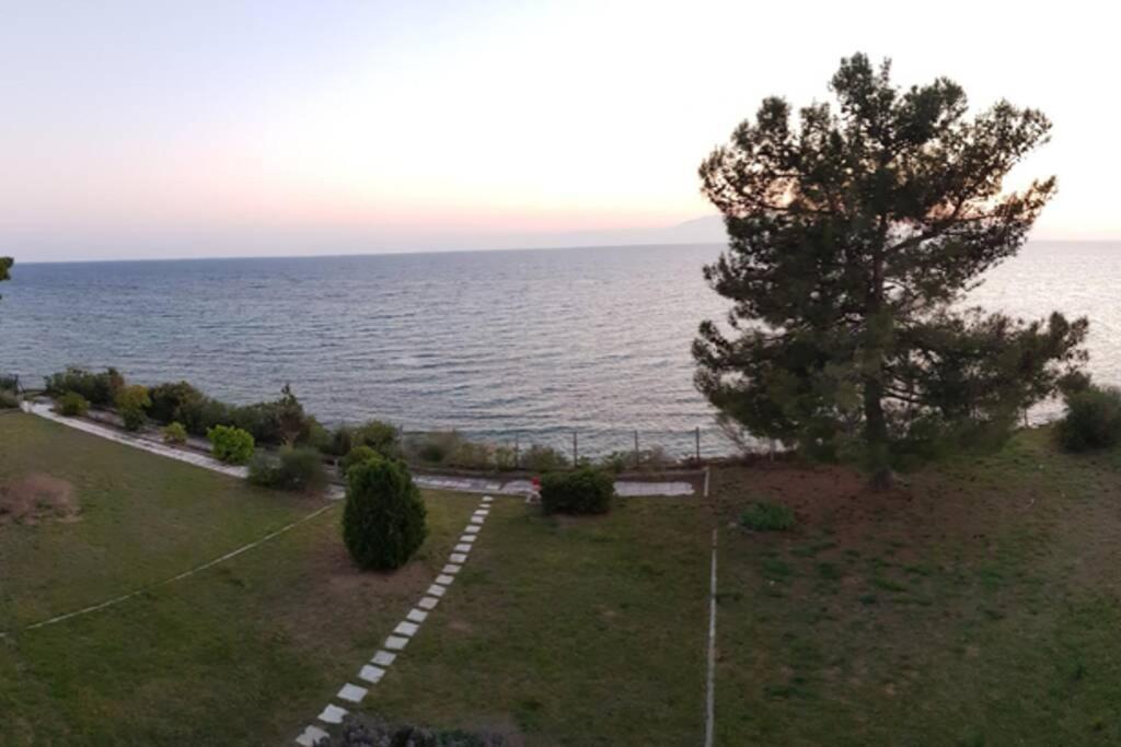Sunshine House Offering Spectacular Views To Olymp A Apartment Nea Iraklia Exterior photo