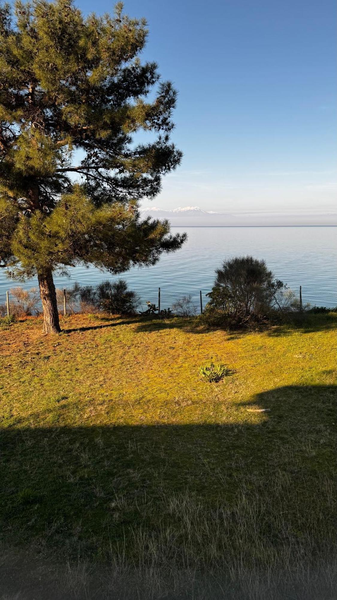 Sunshine House Offering Spectacular Views To Olymp A Apartment Nea Iraklia Exterior photo